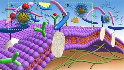 Opportunities and Challenges of Nanoparticles in Digestive Tumours as Anti-Angiogenic Therapies